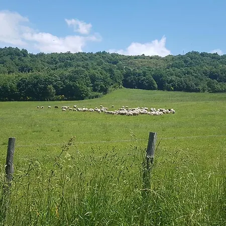 Casale S.anna In Rusticante Societa Agricola * Valfabbrica